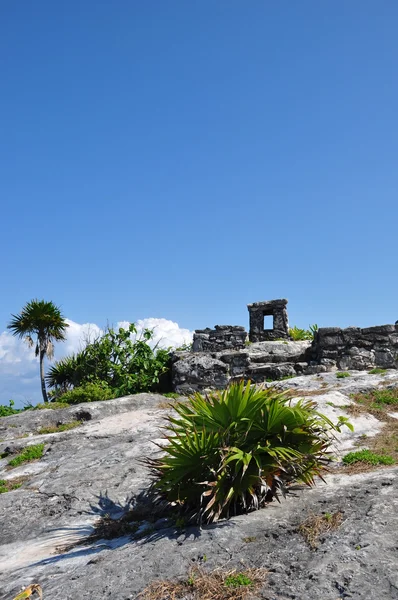 Ruiny Tulum — Zdjęcie stockowe