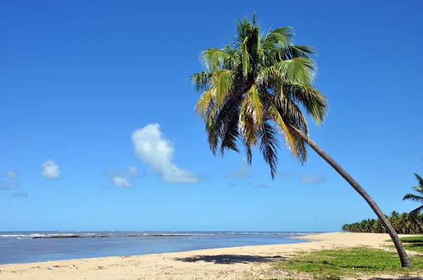 Gunga beach — Stock fotografie