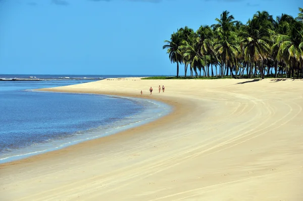Gunga plaży — Zdjęcie stockowe