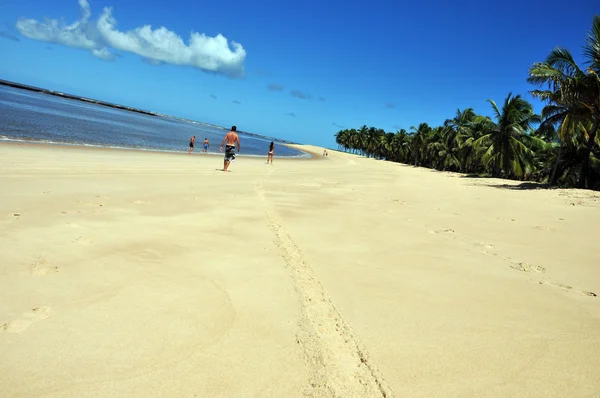 Gunga пляж — стокове фото