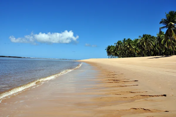 Gunga plaży — Zdjęcie stockowe