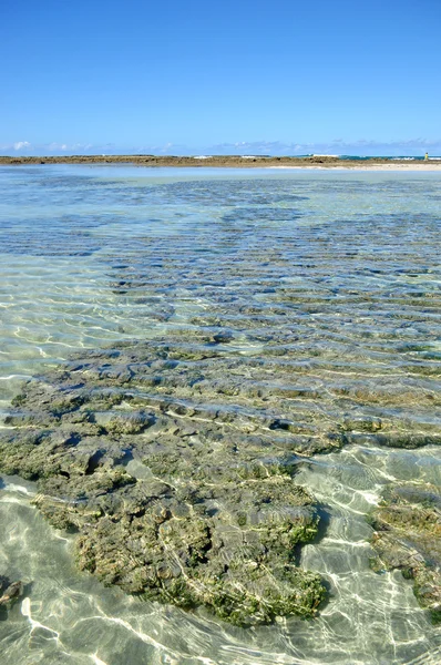 Бассейны марагогов — стоковое фото