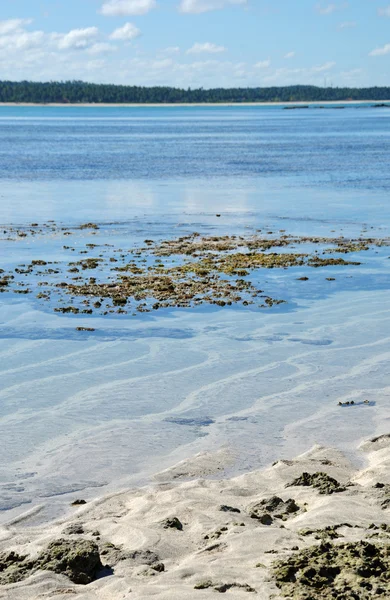 Stock image Pools of maragogi