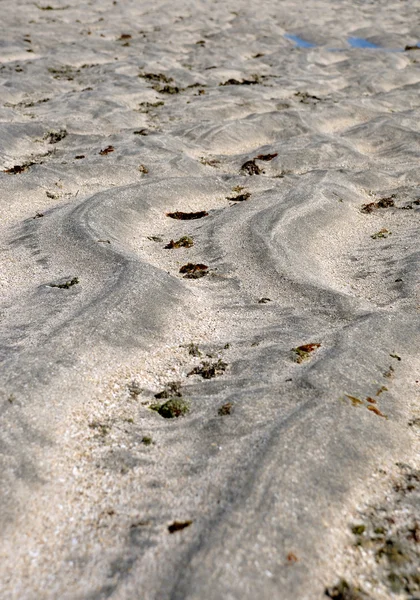 stock image Pools of maragogi