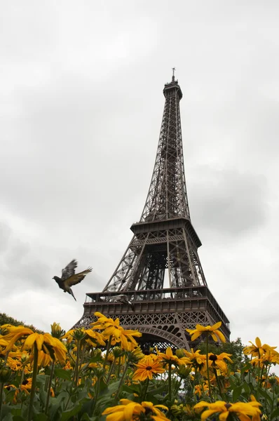 Piękny Paryż — Zdjęcie stockowe
