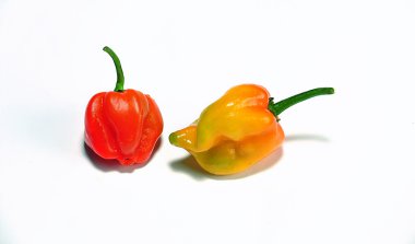 habanero Şili