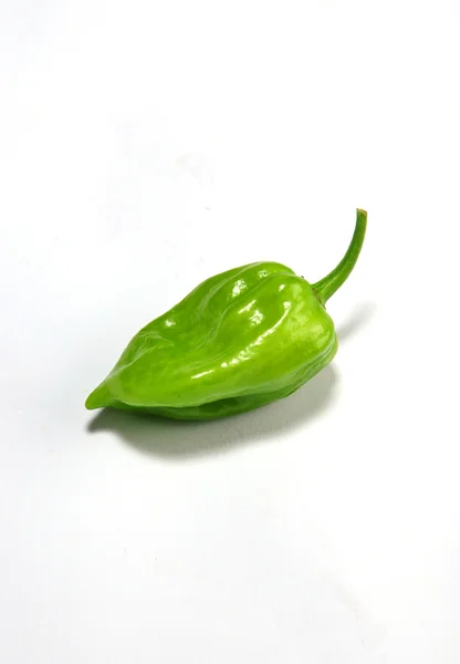 Chili habanero — Stockfoto
