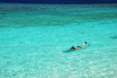 Maldivler'de snorkeling