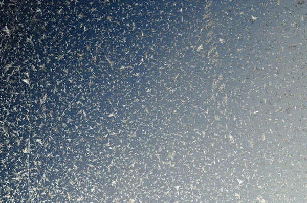 Beyaz ve pembe anason tohumu sprinkles ile rusks — Stok fotoğraf