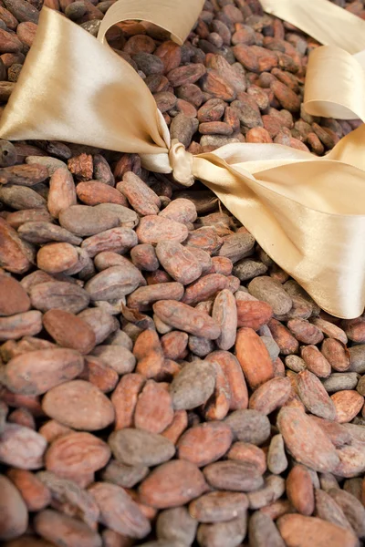 Arco de luz están en granos de cacao —  Fotos de Stock