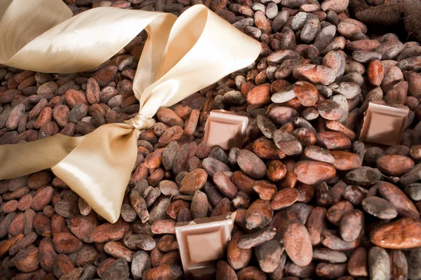 轻弓与巧克力的可可豆 — 图库照片