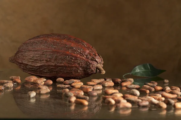 Frijol de cacao con chocolate —  Fotos de Stock