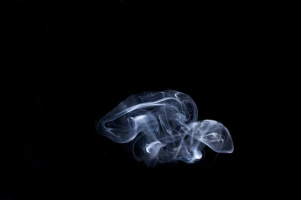 Abstract smoke mushrooms — Stock Photo, Image
