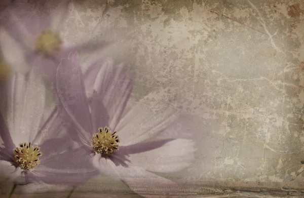 Винтажный цветочный фон — стоковое фото