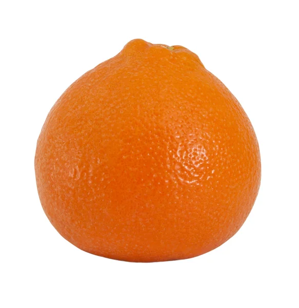 Fruits oranges — Photo