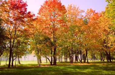 sonbahar park