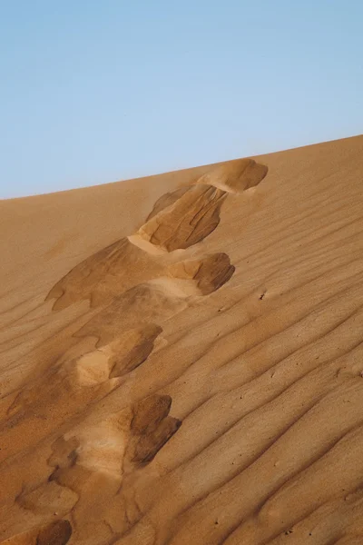 Lépéseket a sivatagban. Gyönyörű homokos háttér — Stock Fotó