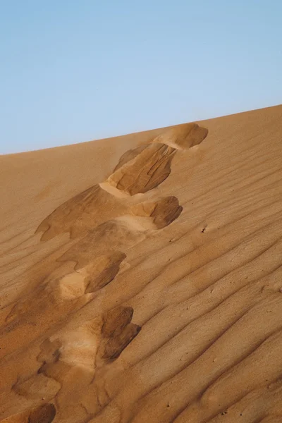 stock image Steps in the desert. Beautiful sand background