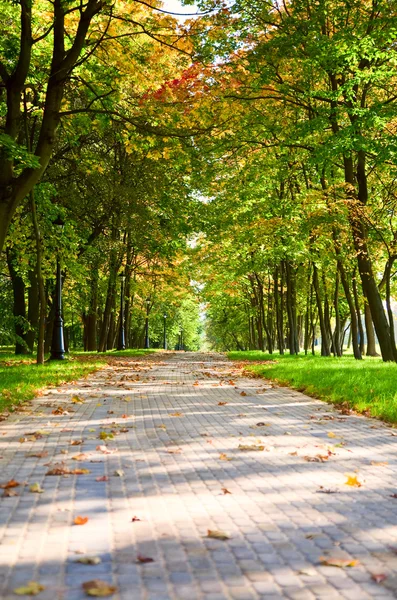 Alley in autumnal park — Stock Photo, Image