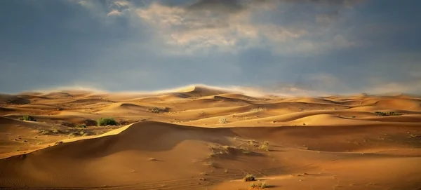 Sivatagi táj — Stock Fotó