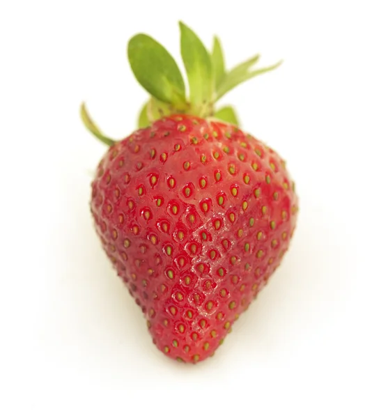 Strawberry — Stock Photo, Image