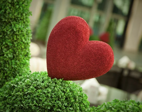 Vörös szív szimbólum — Stock Fotó