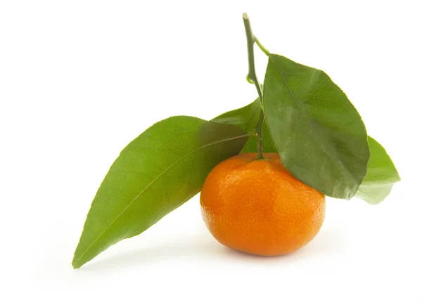 Mandarin with green leaf. — Stock Photo, Image