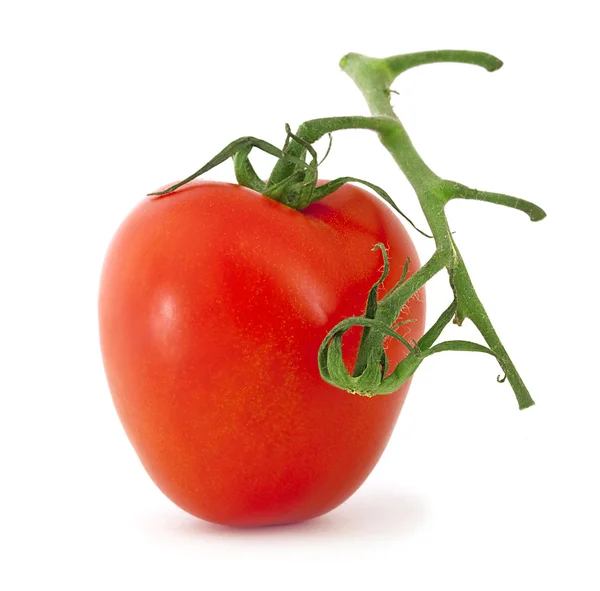 Pomodoro rosso vegetale — Foto Stock