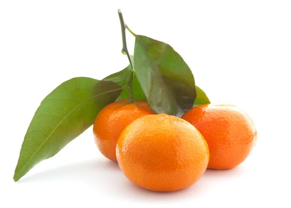 Mandarino con foglia verde . — Foto Stock