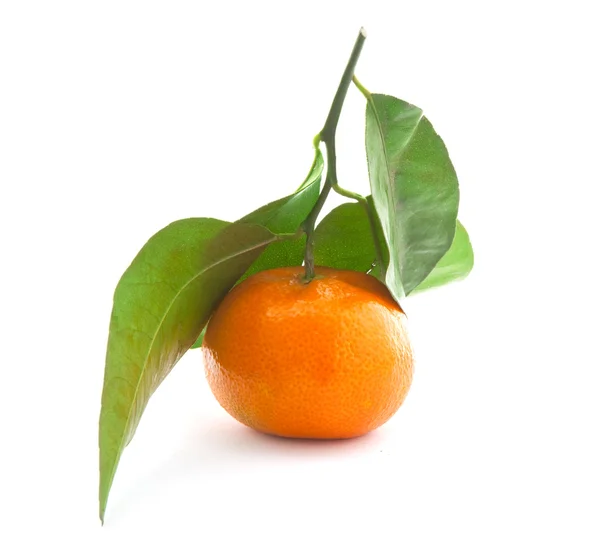 Mandarine avec feuille verte . — Photo