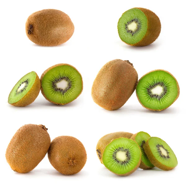 Stock image Set of kiwi fruit