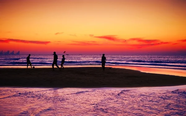 stock image Beach in Dubai