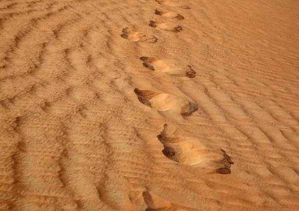 Kroki na pustyni — Zdjęcie stockowe