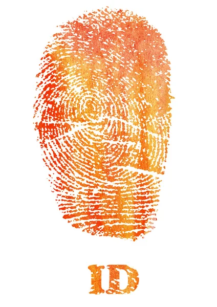 Fingerabdruck-Identifizierung — Stockfoto