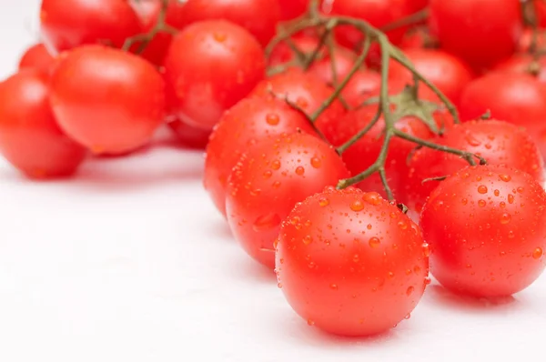 stock image Fresh Tomatoes