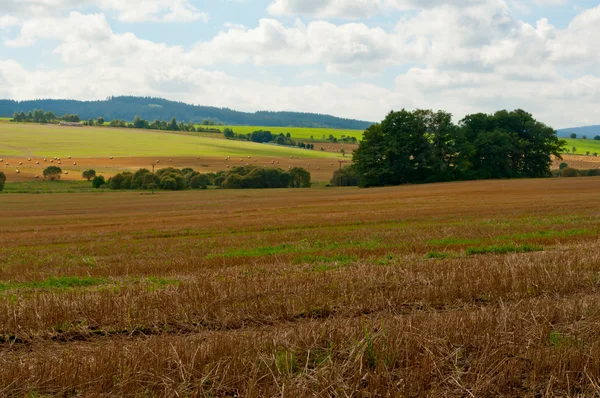 stock image Rural Landscape