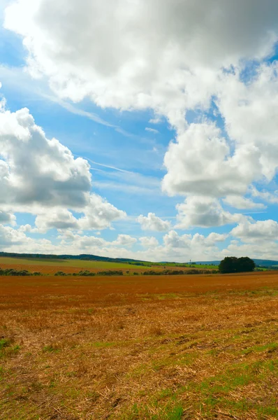 Stock image Harvested Field