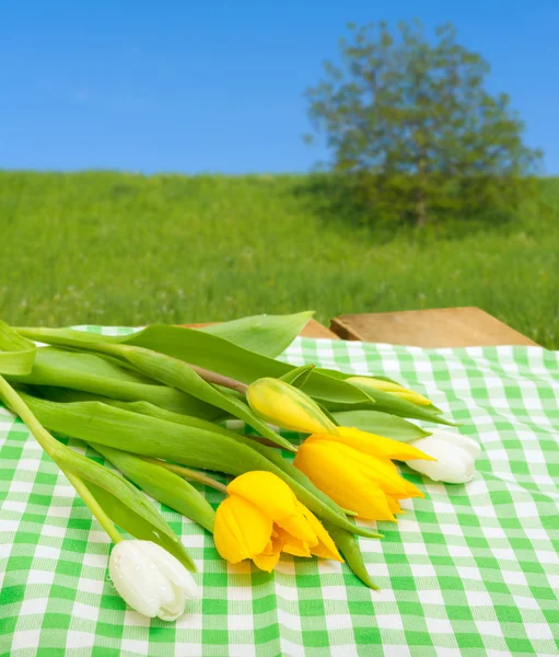 Tulips on Table — Stock Photo, Image