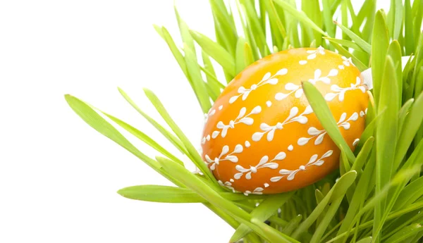Uovo di Pasqua in erba — Foto Stock