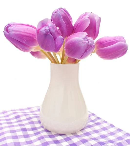 Fiolette tulipaner – stockfoto