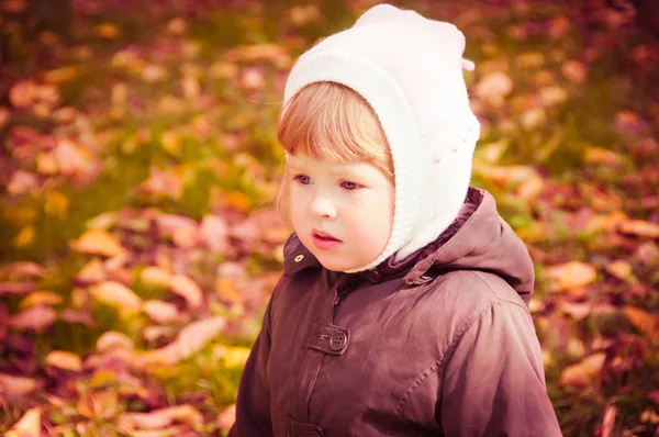 Niño caminando en el parque de otoño — Foto de Stock
