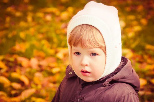 Kind geht im Herbstpark spazieren — Stockfoto