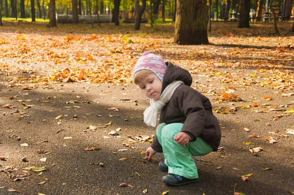 行走在秋天公园的孩子 — 图库照片