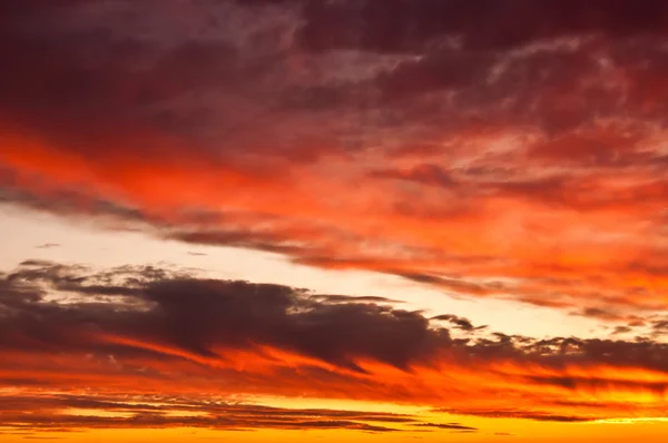 아름 다운 하늘 — 스톡 사진