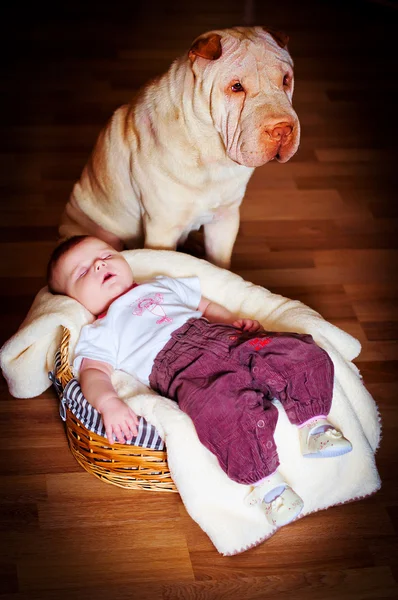 stock image The baby with a dog