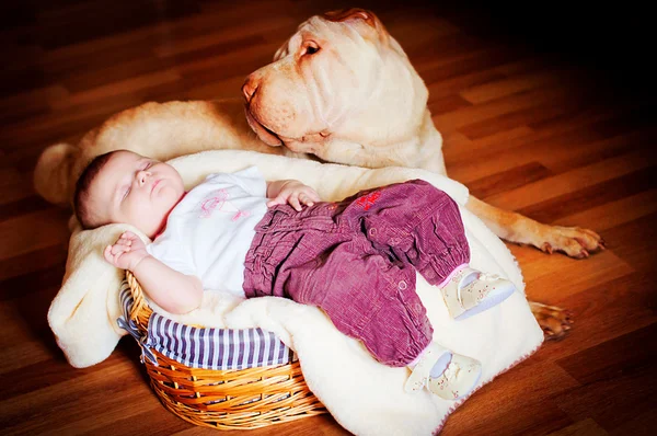 Το μωρό με ένα σκυλί — Φωτογραφία Αρχείου