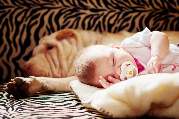 El bebé con un perro —  Fotos de Stock