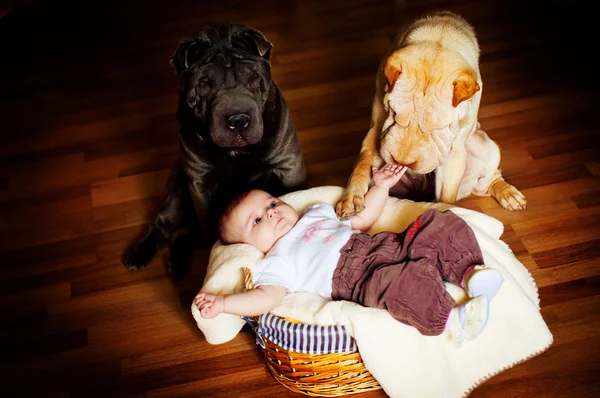 De baby met een hond — Stockfoto