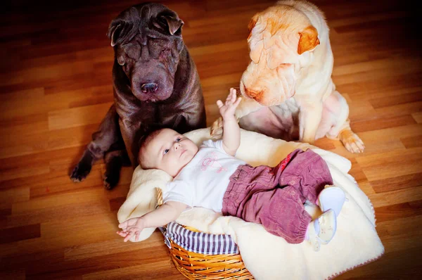 The baby with a dog — Stock Photo, Image