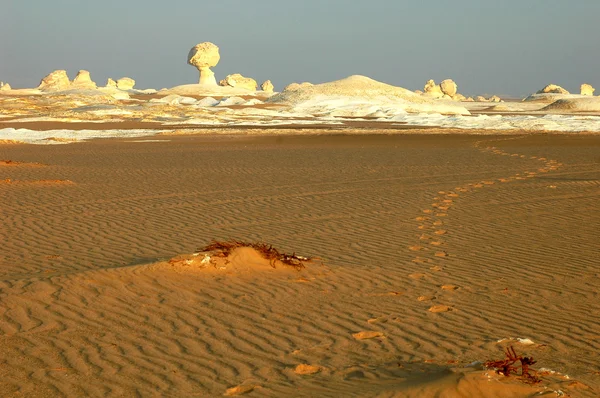 Landschaft der berühmten weißen Wüste in Ägypten — Stockfoto